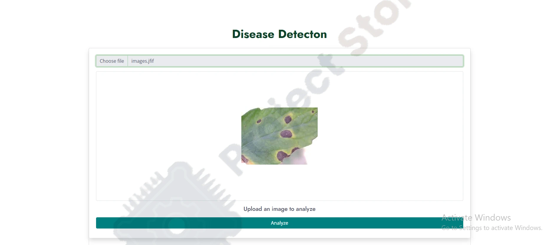 Crop disease Detection